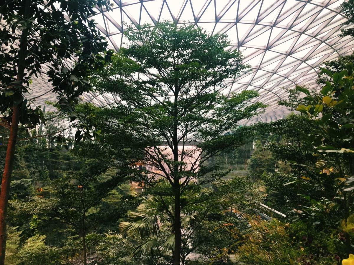 Yotelair Singapore Changi Airport Landside المظهر الخارجي الصورة